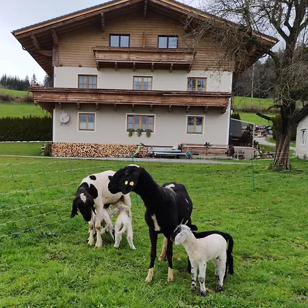 Maierlehen Apartment *