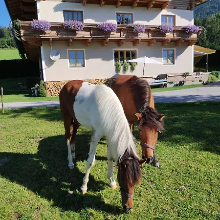 Maierlehen *