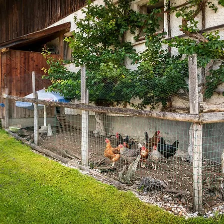 Maierlehen Pfarrwerfen