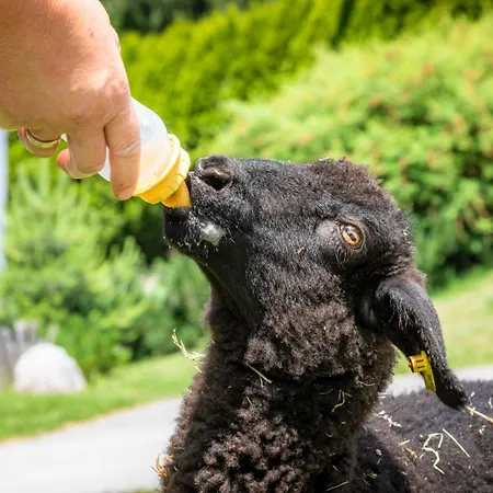 Lägenhet Maierlehen *