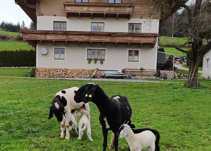 Maierlehen 아파트 *