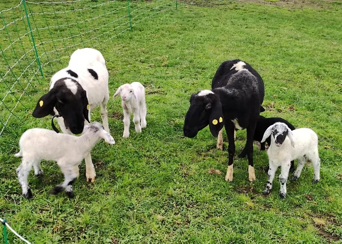 Maierlehen 아파트 *