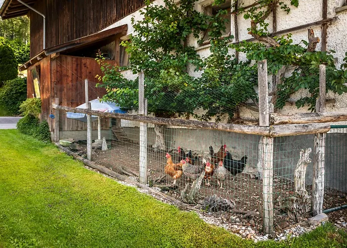 Maierlehen 파르베르펜