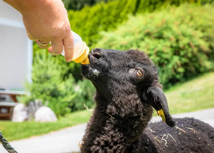 아파트 Maierlehen *